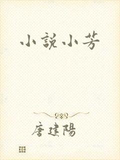 小说小芳