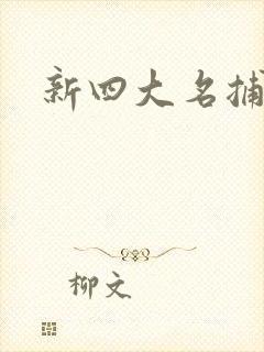 新四大名捕全集