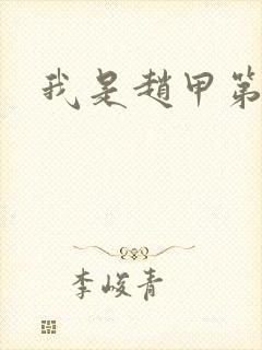 我是赵甲第小说