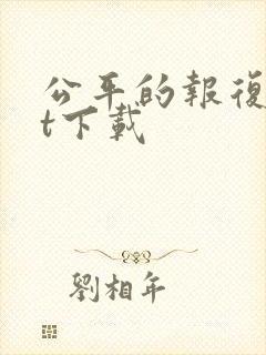 公平的报复txt下载