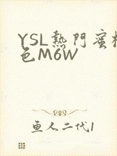 YSL热门蜜桃色M6W