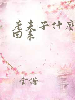 老夫子什么时候回来