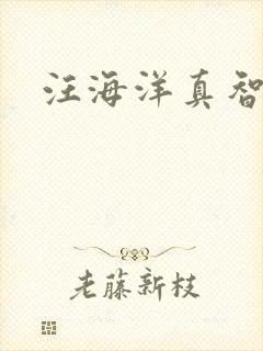 汪海洋真智师太