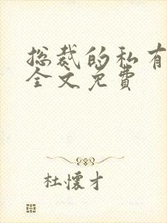 总裁的私有宝贝全文免费