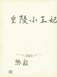 皇陵小王妃