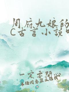 周府九娘的NPC古言小说叫什么