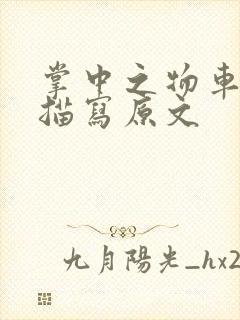 掌中之物车里震描写原文