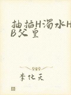 抽插H浊水H嫩B父皇