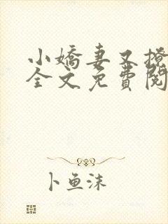 小娇妻又撩又甜全文免费阅读