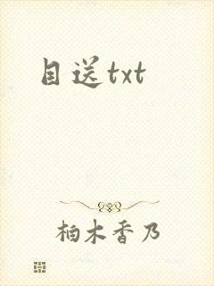 目送txt