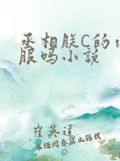 丞相朕C的你舒服吗小说