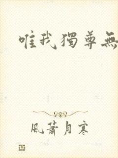 唯我独尊无弹窗