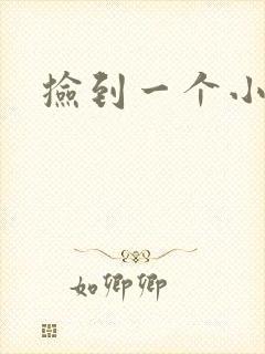 捡到一个小妖精