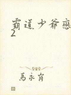 霸道少爷恋上我2