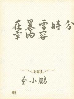 在暴雪时分54章内容