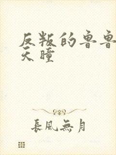 反叛的鲁鲁修之天瞳