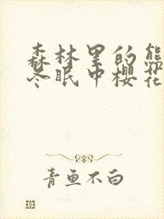 森林里的熊先生冬眠中樱花动漫