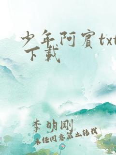 少年阿宾txt 下载