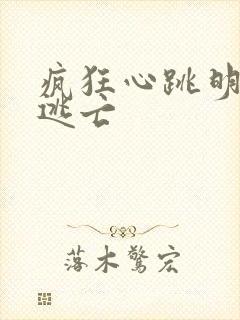 疯狂心跳明星大逃亡