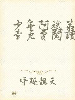 少年阿斌第13章免费阅读