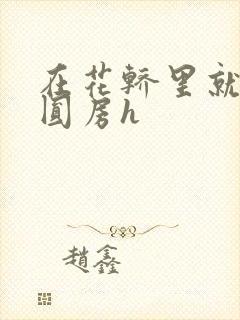 在花轿里就开始圆房h