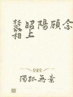 楚昭阳顾念在冰箱上