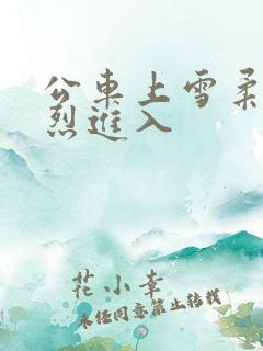 公车上雪柔被猛烈进入