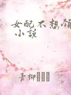 女配不想领便当 小说