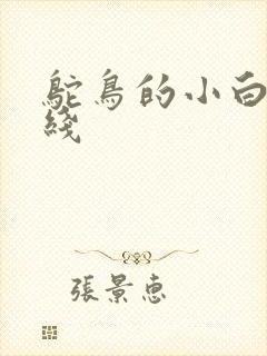 鸵鸟的小白脸路线