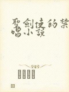 圣剑使的禁咒咏唱小说
