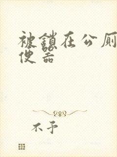 被锁在公厕当坐便器