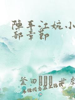 阵平江婉小说全部章节