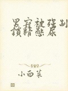 男宠被强制灌水锁精憋尿