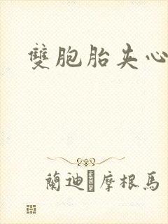 双胞胎夹心运动