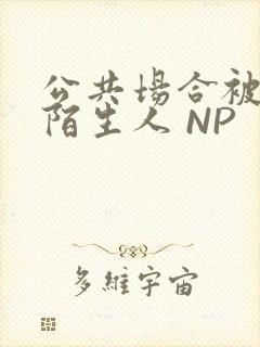 公共场合被各种陌生人 NP