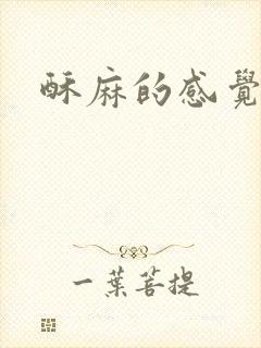 酥麻的感觉小说