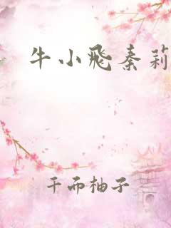 牛小飞秦莉莉