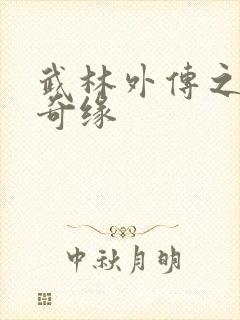 武林外传之同福奇缘