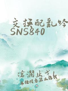 交换配乱吟粗大SNS840