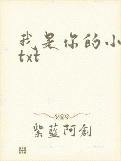 我是你的小小狗txt