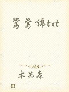 鸳鸯锦txt