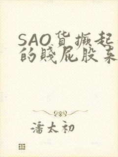 SAO货撅起你的贱屁股来