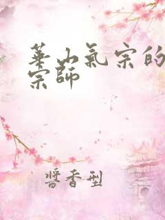 华山气宗的形意宗师