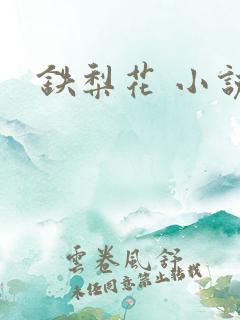 铁梨花 小说