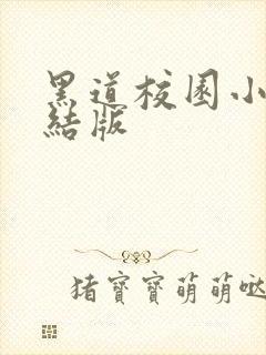 黑道校园小说完结版