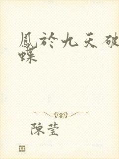 凤于九天破茧成蝶
