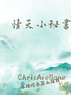 情天小秘书