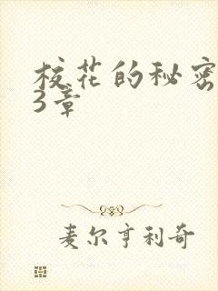 校花的秘密第23章