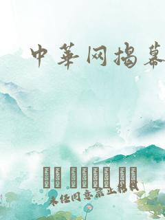 中华网揭幕内参