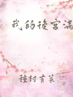 我的后宫满三界